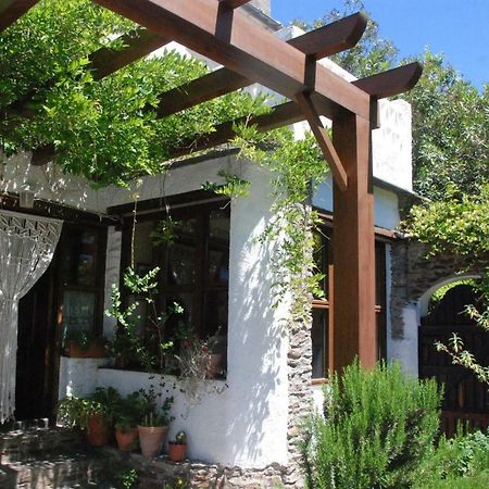 Casa Africa Guest House Mecina Fondales Ngoại thất bức ảnh